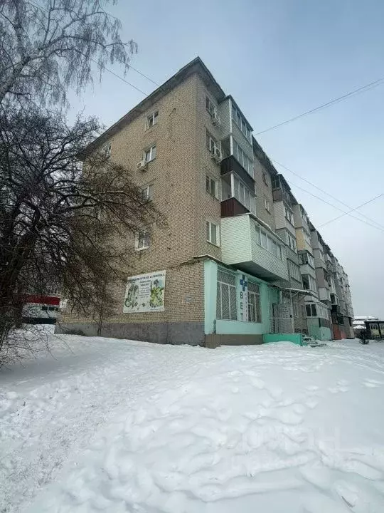 1-к кв. Тульская область, Ефремов Комсомольская ул., 58 (31.3 м) - Фото 1