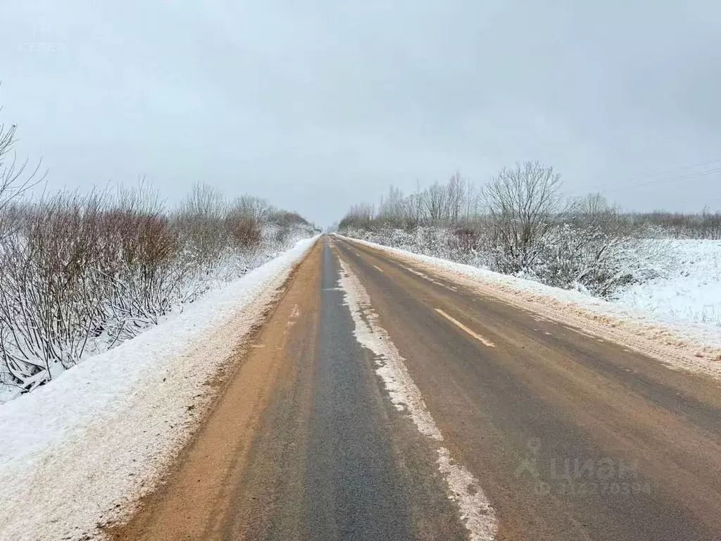 Участок в Новгородская область, Новгородский район, Трубичинское ... - Фото 1