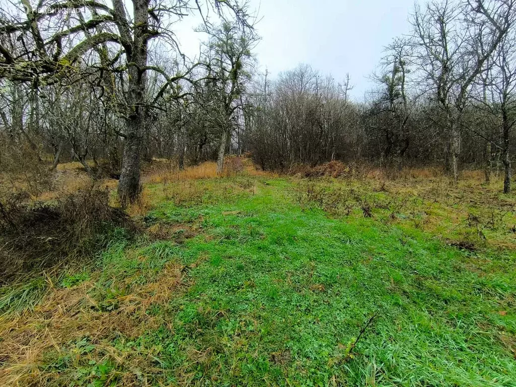 Участок в село Черниговское, Зелёная улица (15.13 м) - Фото 2