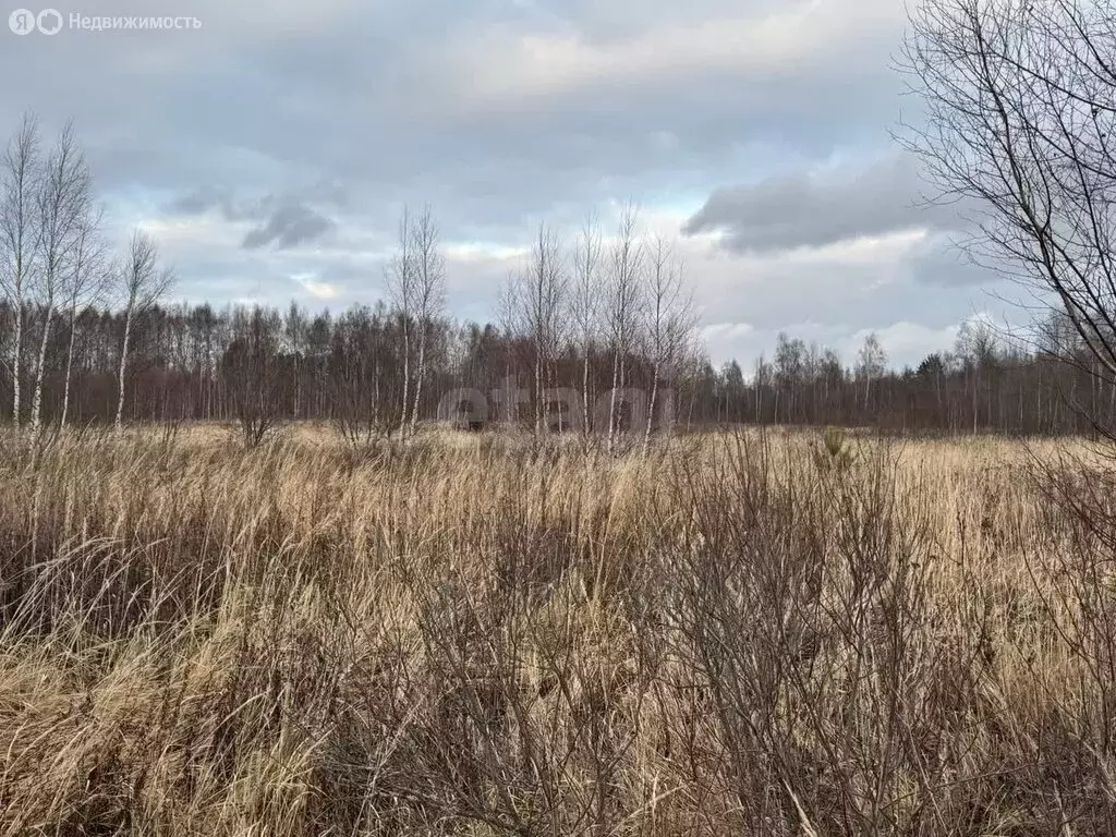Участок в Нерехтский район, Воскресенское сельское поселение, посёлок ... - Фото 1
