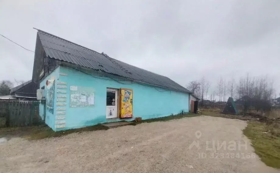 Торговая площадь в Пермский край, Александровск Яйва пгт, ул. Максима ... - Фото 2