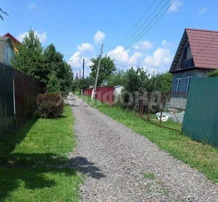 Участок в Новосибирская область, Колыванский район, Надежда СТ  (6.0 ... - Фото 2