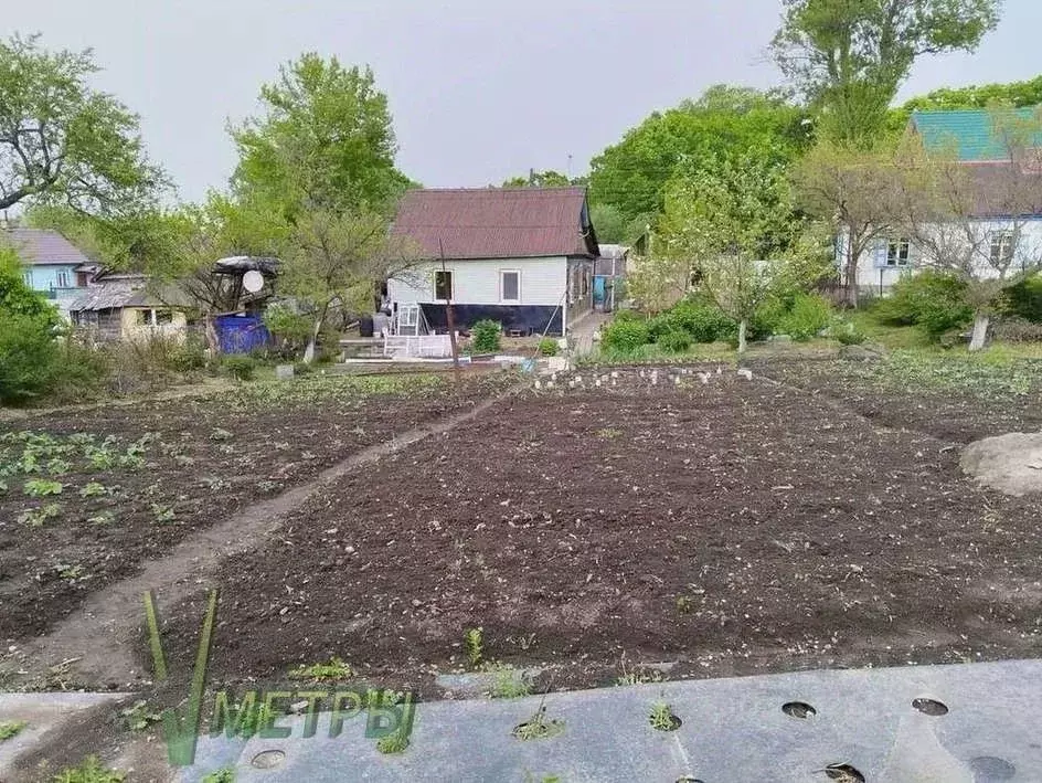 Дом в Приморский край, Надеждинский район, пос. Раздольное ул. ... - Фото 2