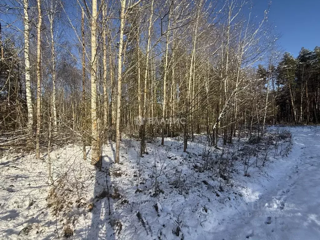 Участок в Владимирская область, Судогодский район, д. Торжково  (85.0 ... - Фото 1