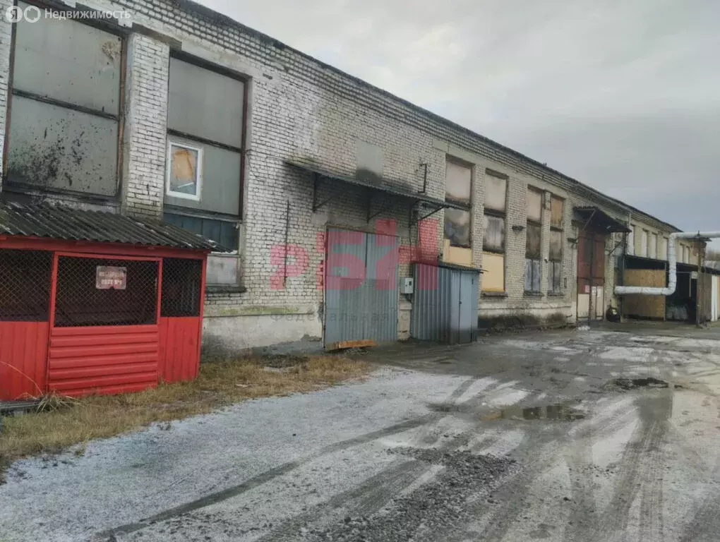 Склад (296.1 м) - Фото 2