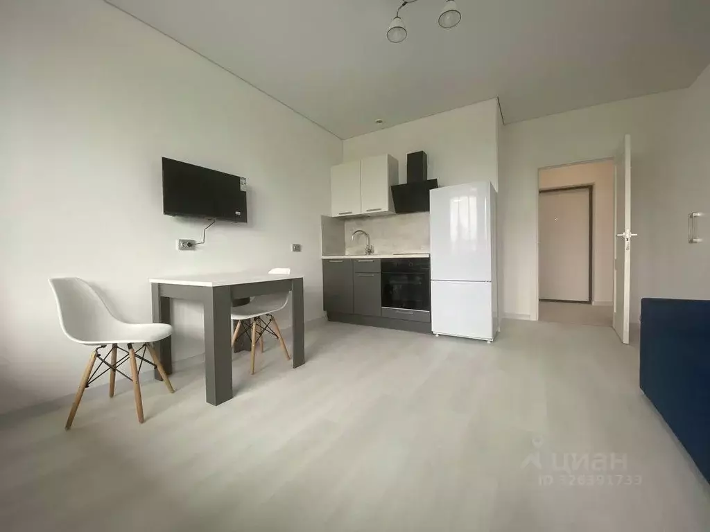 Студия Санкт-Петербург просп. Буденного, 15 (24.5 м) - Фото 2