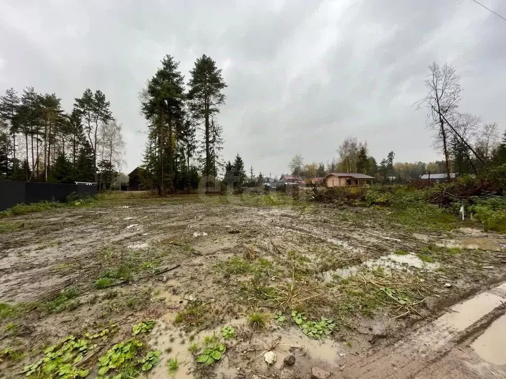 Участок в Московская область, Щелково городской округ, д. Кишкино  ... - Фото 1