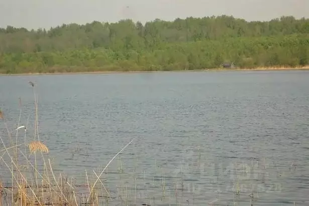 Участок в Псковская область, Плюсский муниципальный округ, д. Ктины  ... - Фото 1