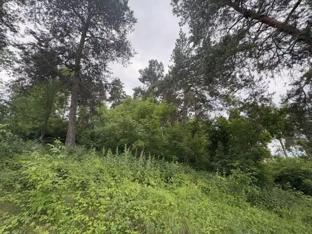 Участок в село Новый Буян, посёлок Киселёвка (20 м) - Фото 1