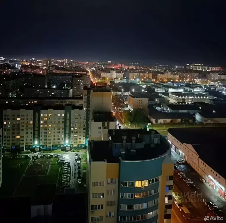 2-к кв. Алтайский край, Барнаул Взлетная ул., 38 (39.0 м) - Фото 1