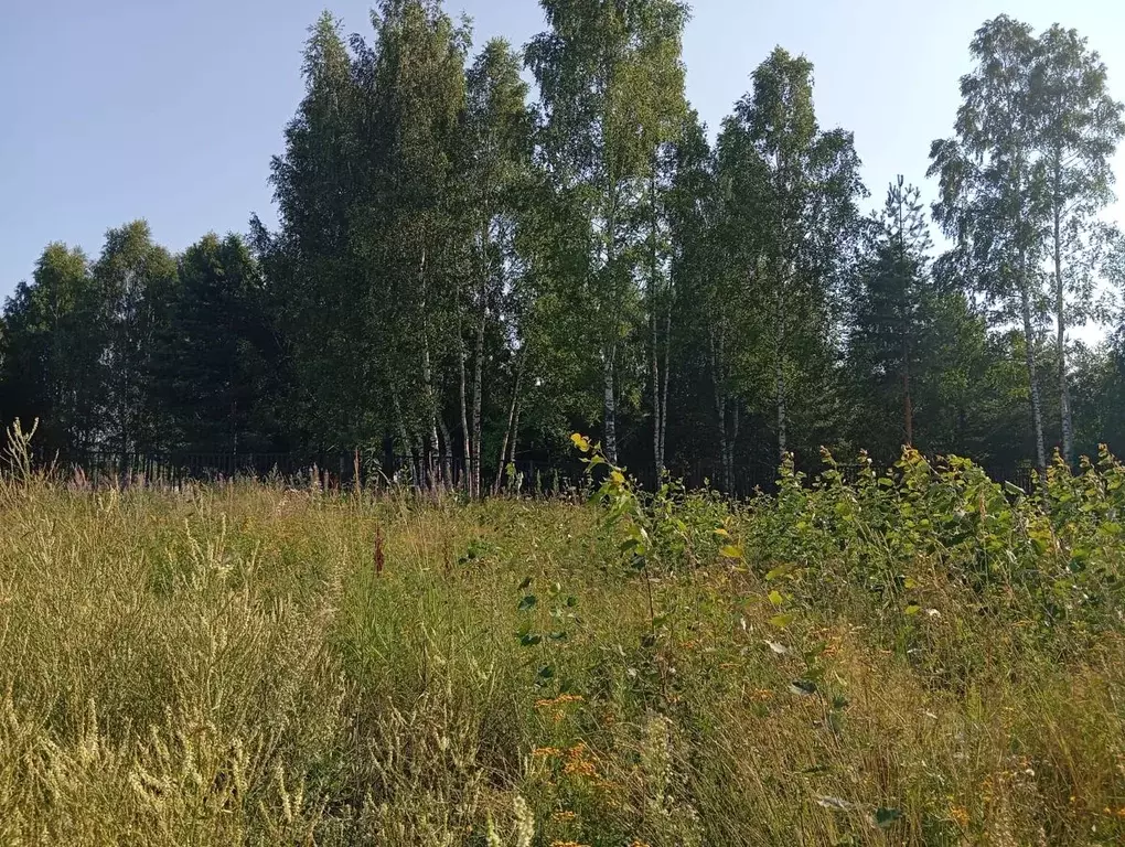 Участок в Ярославская область, Рыбинский муниципальный округ, ... - Фото 0