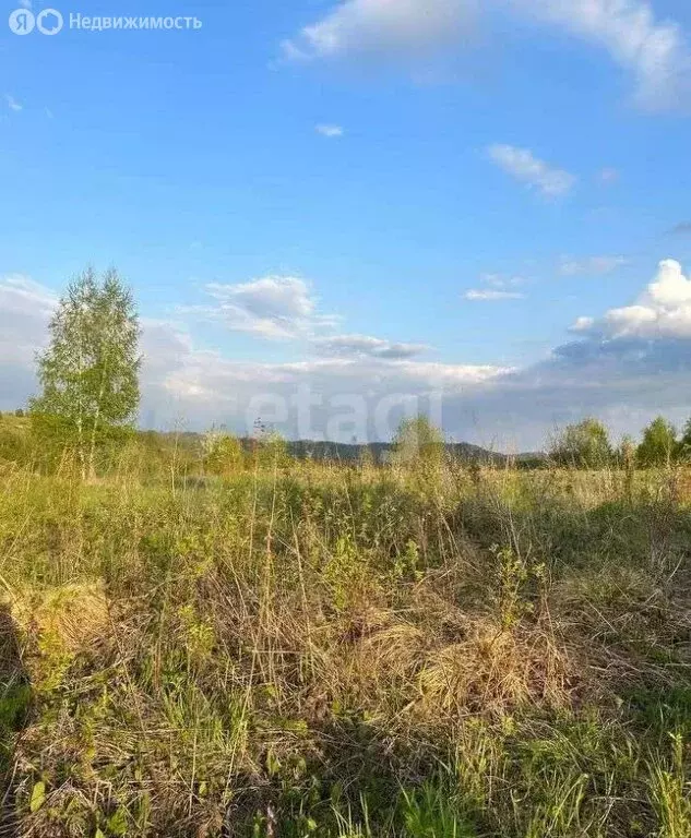 Участок в Майминский район, садоводческое товарищество Берёзка (6 м) - Фото 0