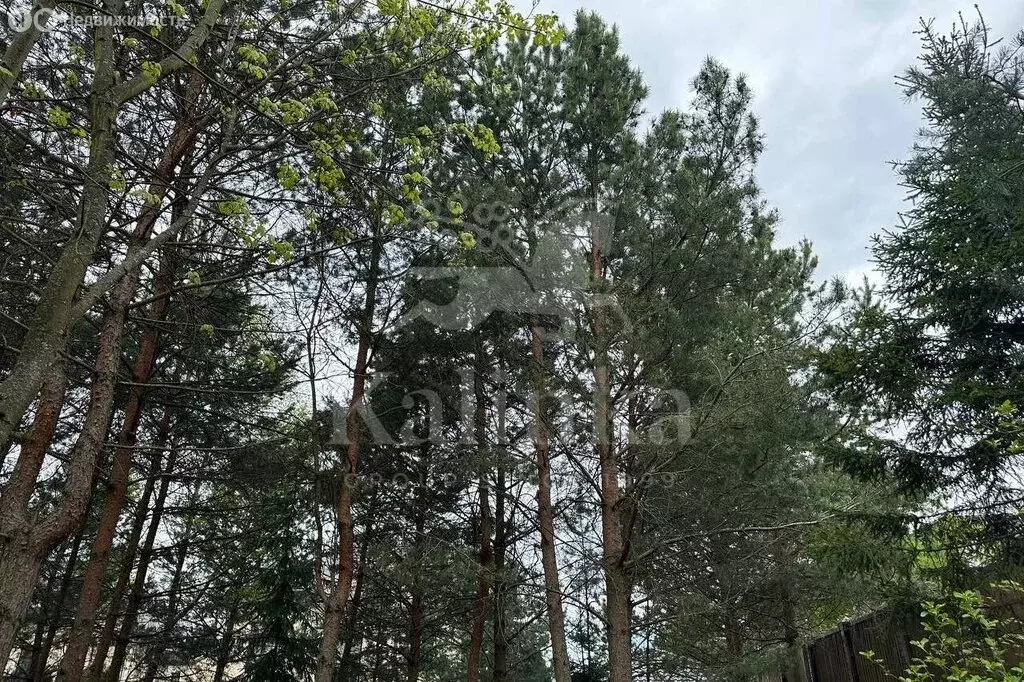 Участок в Поздняково, КП Никольская слобода (22.4 м) - Фото 0