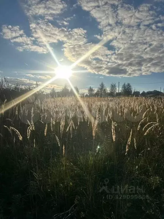 Участок в Удмуртия, Якшур-Бодьинский район, с. Люкшудья  (7.28 сот.) - Фото 1