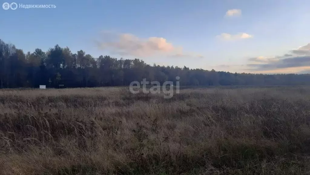 Участок в Светловский городской округ, посёлок Волочаевское (10.8 м) - Фото 0