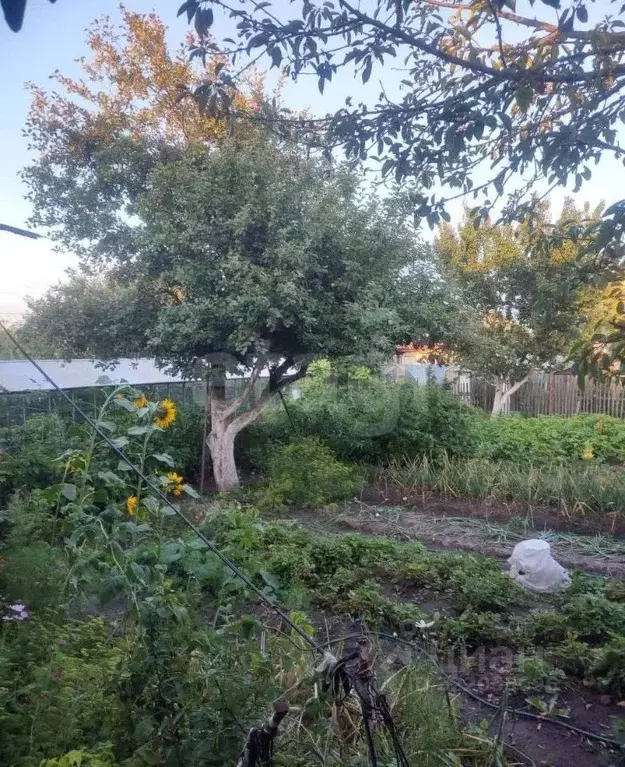 Дом в Брянская область, Брянск Лужаны-2 со,  (50 м) - Фото 0