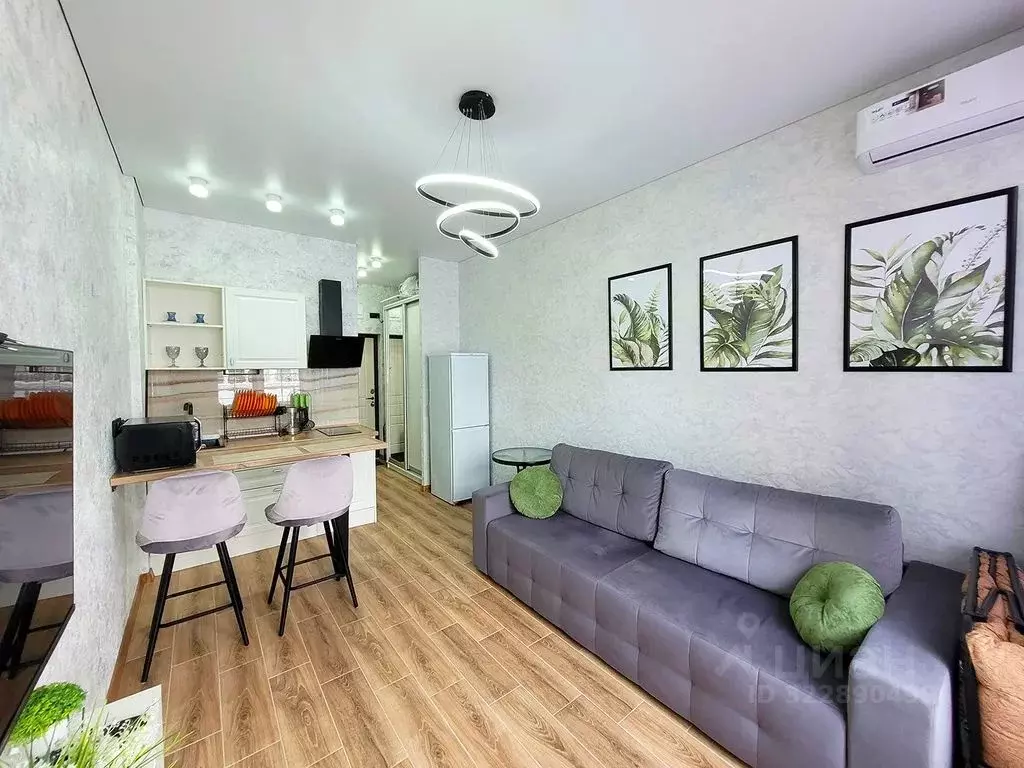 Студия Краснодарский край, Сочи ул. Ленина, 290/6 (22.0 м) - Фото 2