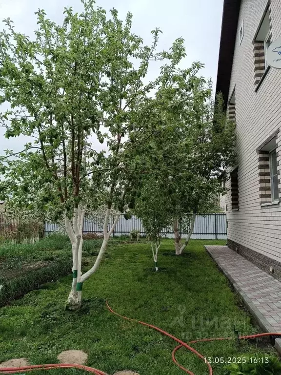 Коттедж в Алтайский край, Барнаул городской округ, пос. Бельмесево, ... - Фото 2