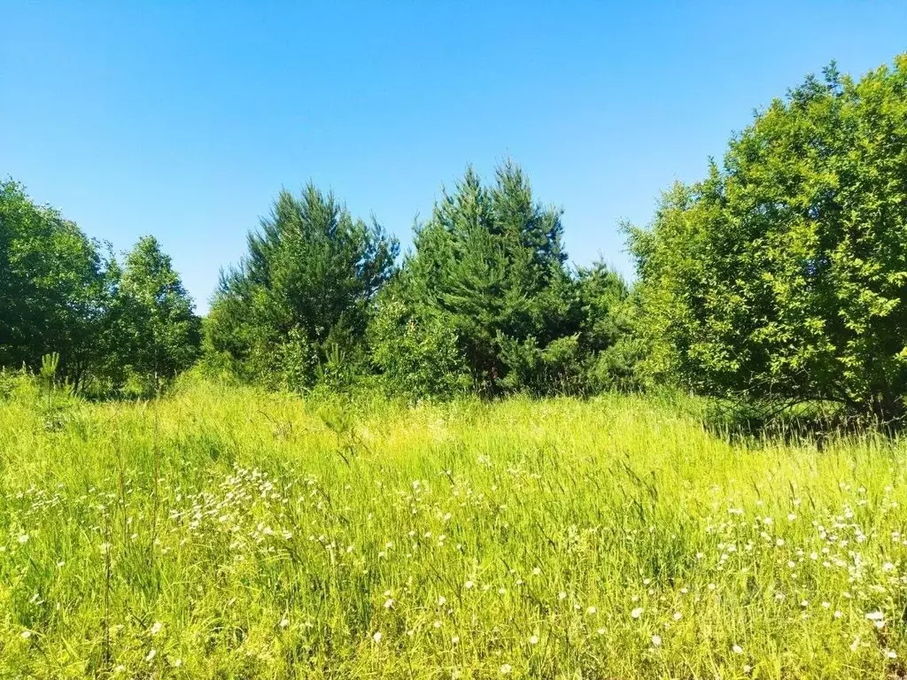 Участок в Тульская область, Ясногорский район, Иваньковское с/пос, ... - Фото 1