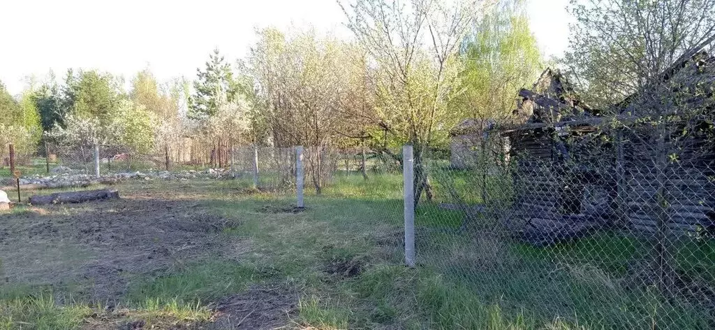 Участок в Воронеж, СНТ Дон, Кулинарная улица (6 м) - Фото 2