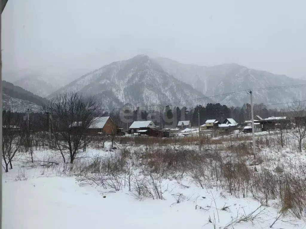 Дом в Алтай, Майминский район, с. Усть-Муны Березовая ул., 21 (53 м) - Фото 1