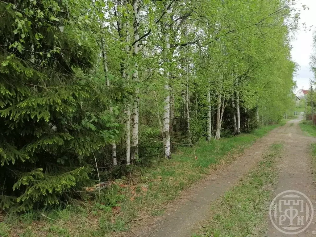 Участок в Ленинградская область, Всеволожский район, Лесколовское ... - Фото 1