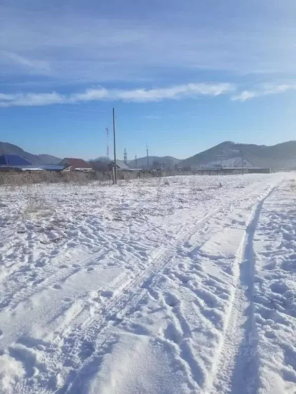 Участок в Алтайский край, с. Солонешное ул. Цветочная (20.0 сот.) - Фото 0