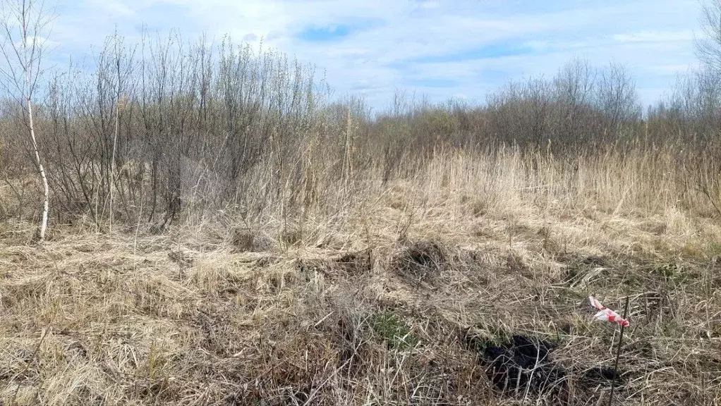 Участок 8 сот. (СНТ, ДНП) - Фото 0