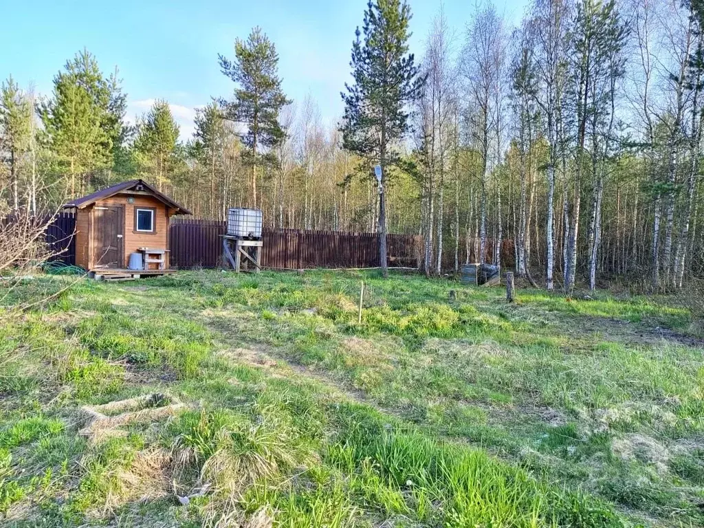 Участок в Ленинградская область, Всеволожский район, Сертоловское ... - Фото 1