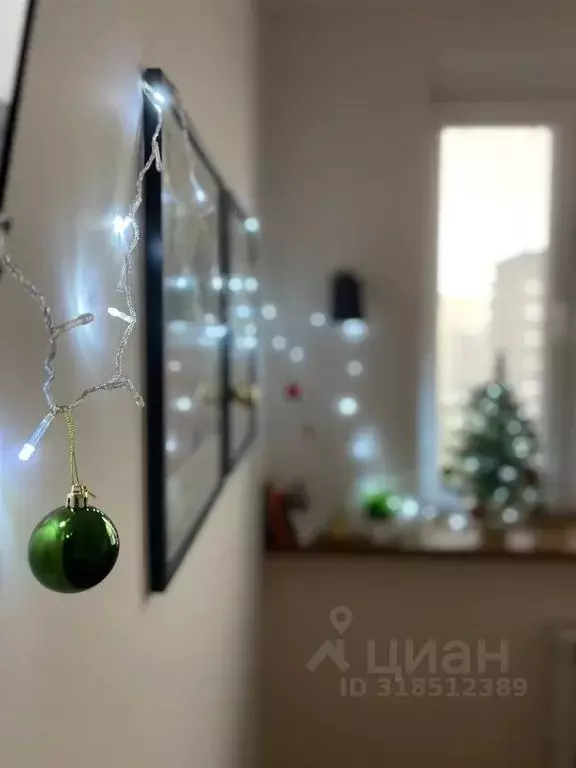 1-к кв. Калининградская область, Калининград ул. Героя России ... - Фото 2