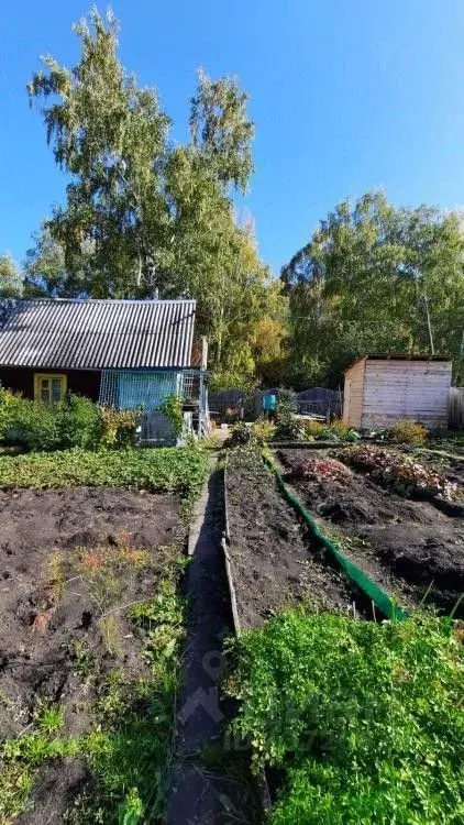 Дом в Хакасия, Саяногорск Саяногорск городской округ, Урожай СНТ, ул. ... - Фото 0