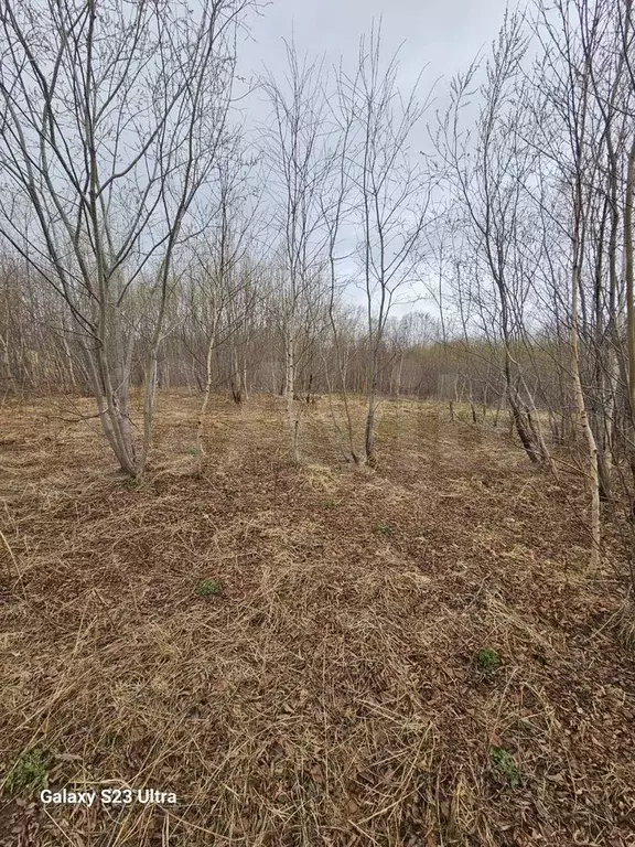 Участок 15 сот. (ИЖС) - Фото 1