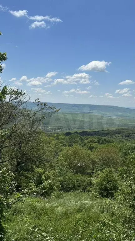 Участок 10 сот. (СНТ, ДНП) - Фото 0