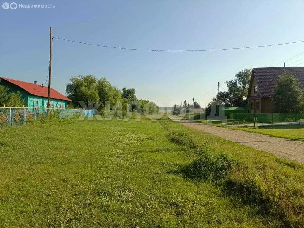 Участок в Новосибирская область, Коченёвский муниципальный район, ... - Фото 1
