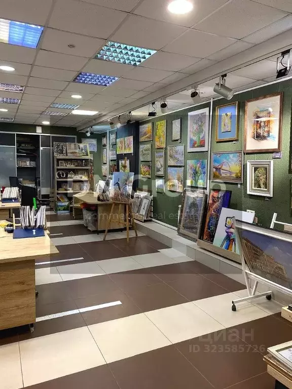 Помещение свободного назначения в Новосибирская область, Новосибирск ... - Фото 2