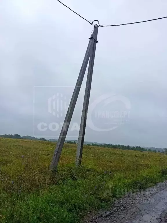 Участок в Воронежская область, Семилукский район, с. Перлевка Полевой ... - Фото 1