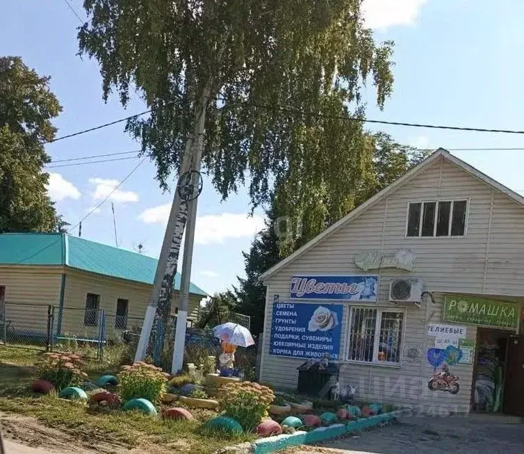 Торговая площадь в Тамбовская область, с. Гавриловка 2-я ул. ... - Фото 0