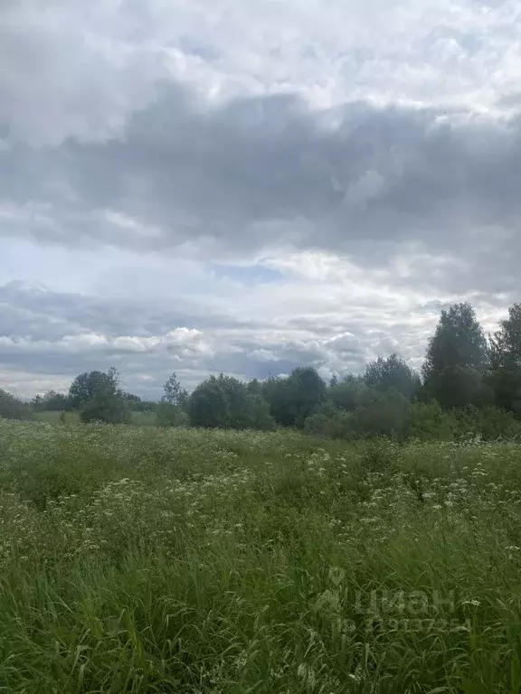 Участок в Новгородская область, Новгородский район, Савинское с/пос, ... - Фото 1