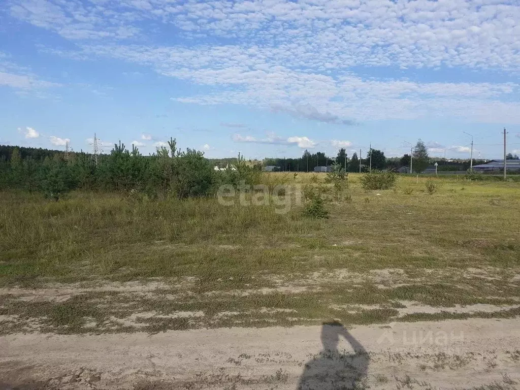 Участок в Брянская область, Навля рп ул. 2-й Дачный Микрорайон (8.0 ... - Фото 1