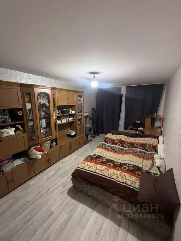 1-к кв. Воронежская область, Павловск Гранитный мкр, 11 (30.2 м) - Фото 2