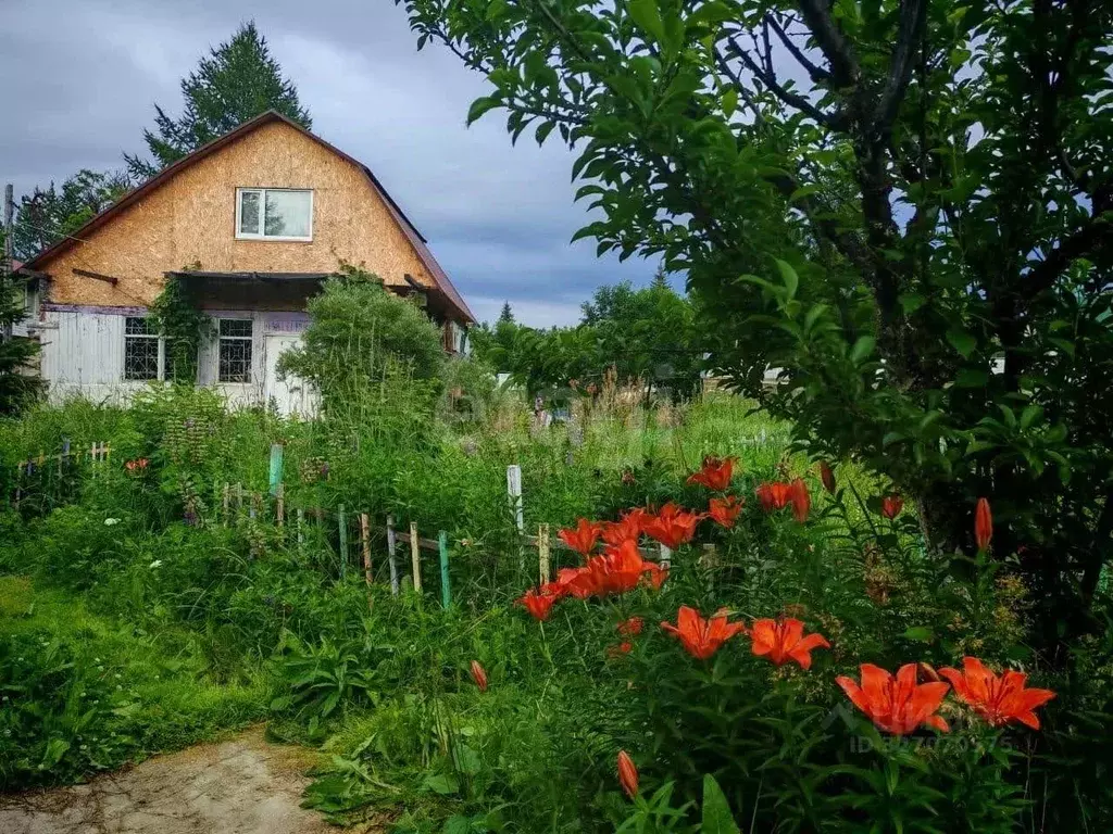 Дом в Камчатский край, Елизовский муниципальный округ, Лесное СНТ  (70 ... - Фото 1
