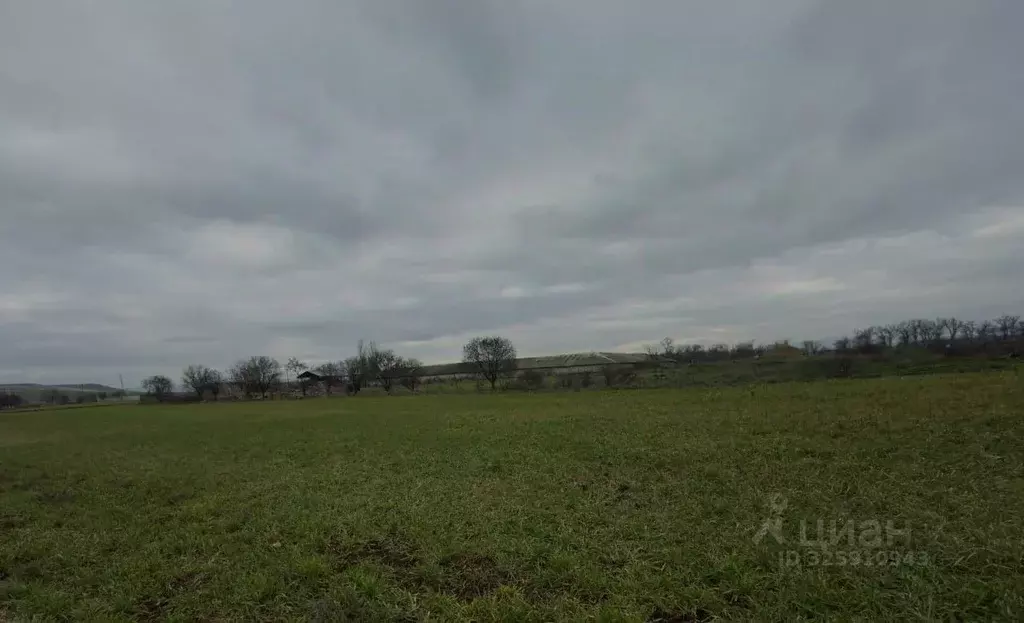 Участок в Крым, Кировский район, Журавское с/пос, с. Видное ул. ... - Фото 2