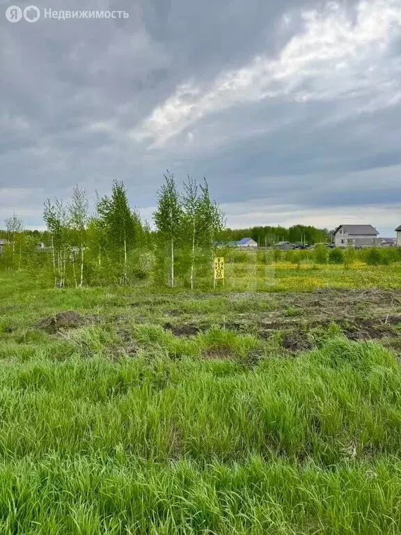 Участок в Киева, улица Победы (10 м) - Фото 1