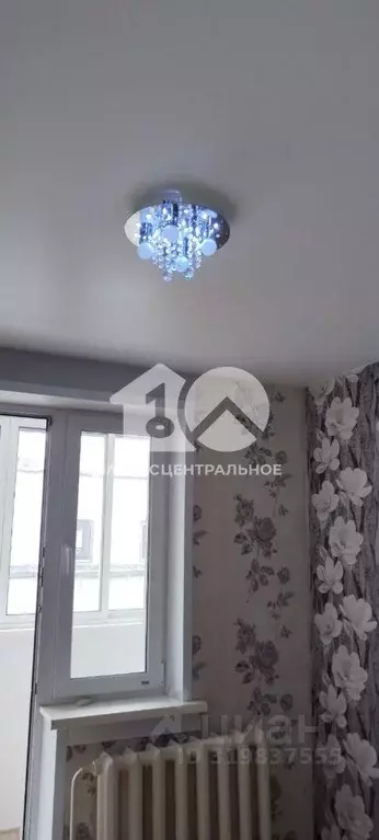 Квартира, студия, 15.8 м - Фото 1