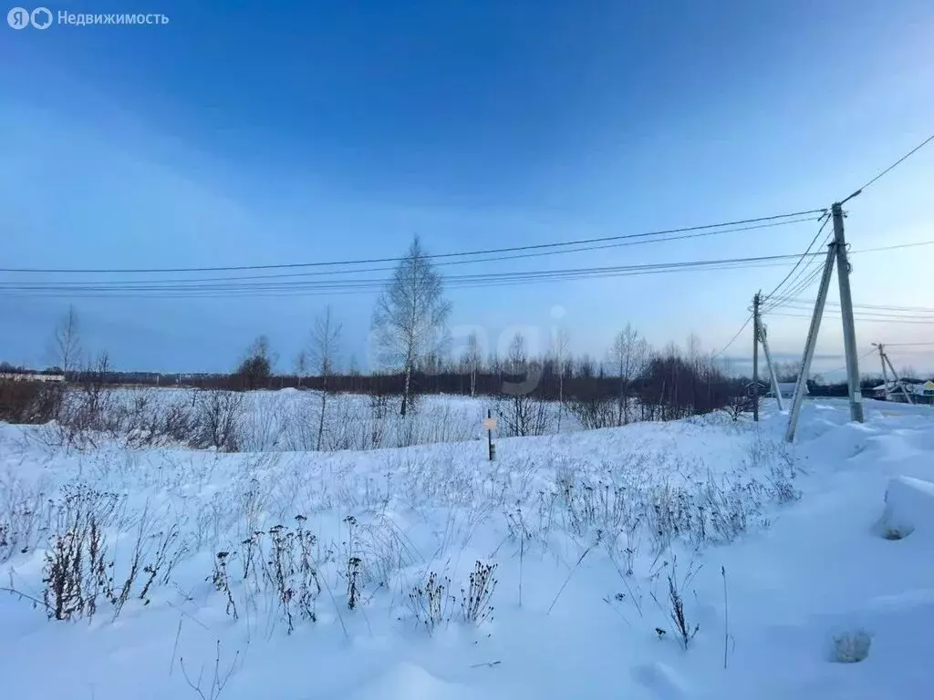 Участок в Красносельский район, Боровиковское сельское поселение, ... - Фото 2