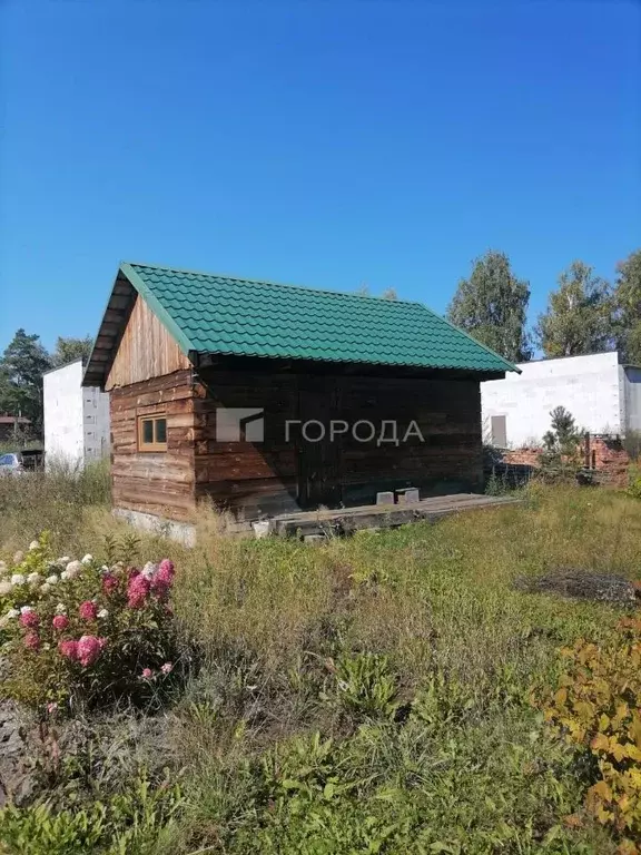 Участок в Алтайский край, Первомайский район, Лесные поляны СНТ ул. ... - Фото 0