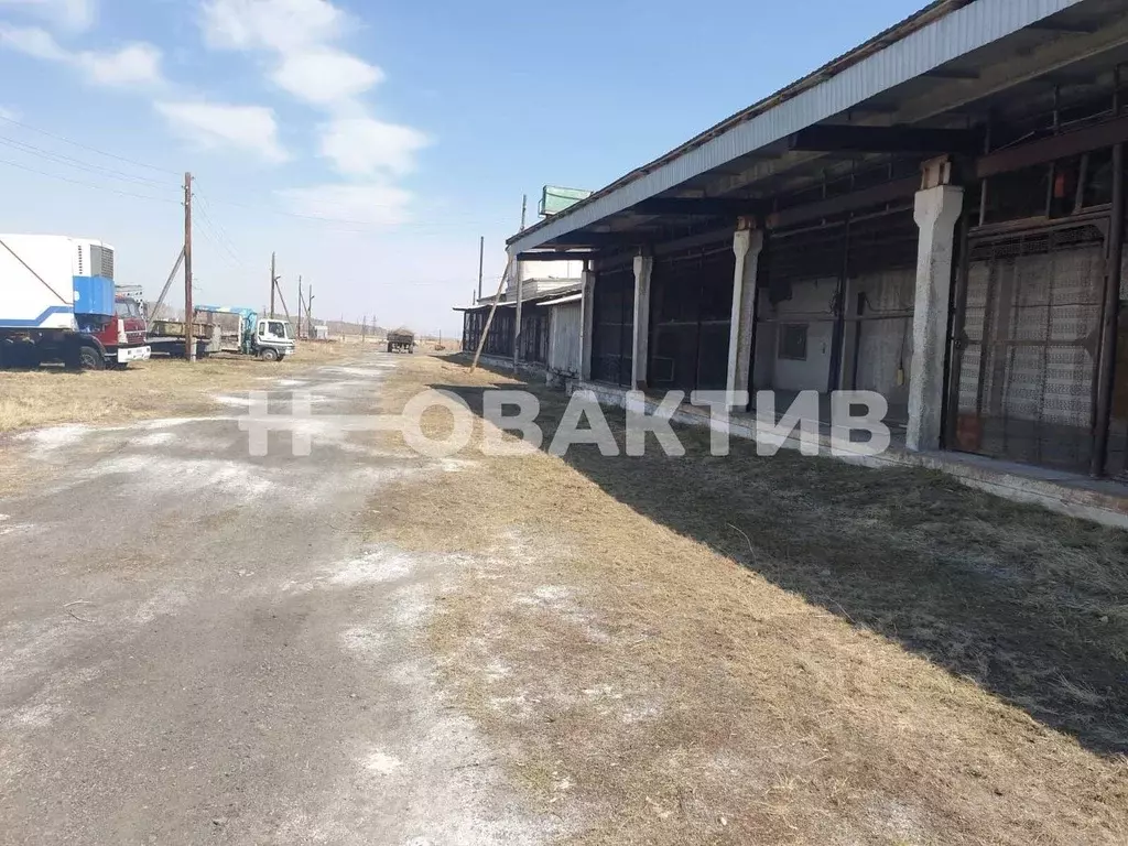 Производственное помещение в Новосибирская область, Чистоозерное рп ... - Фото 1