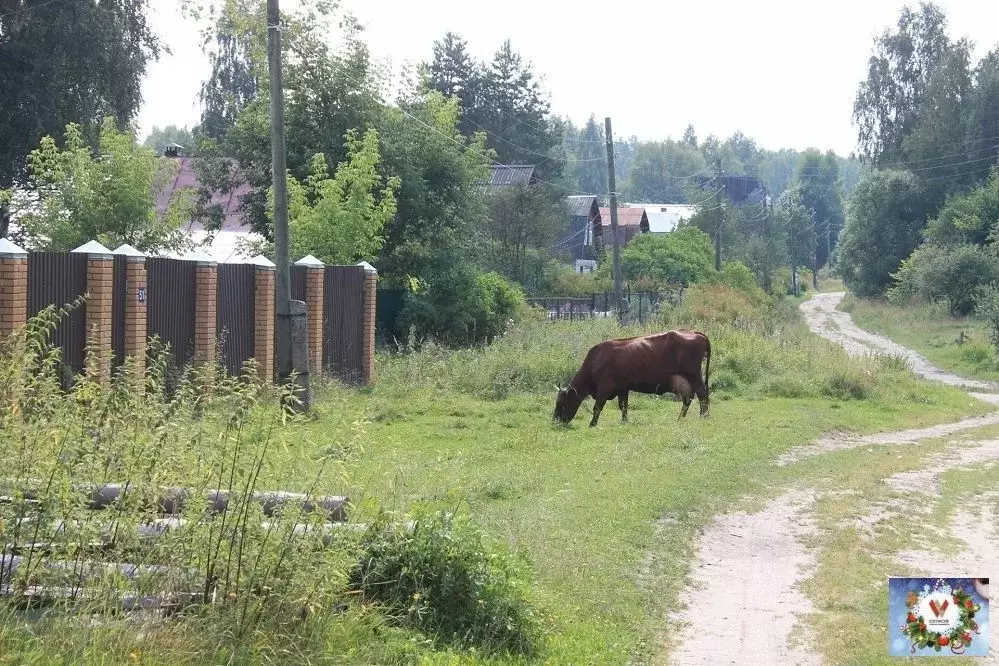 Участок в Владимирская область, Киржачский район, д. Финеево ... - Фото 0