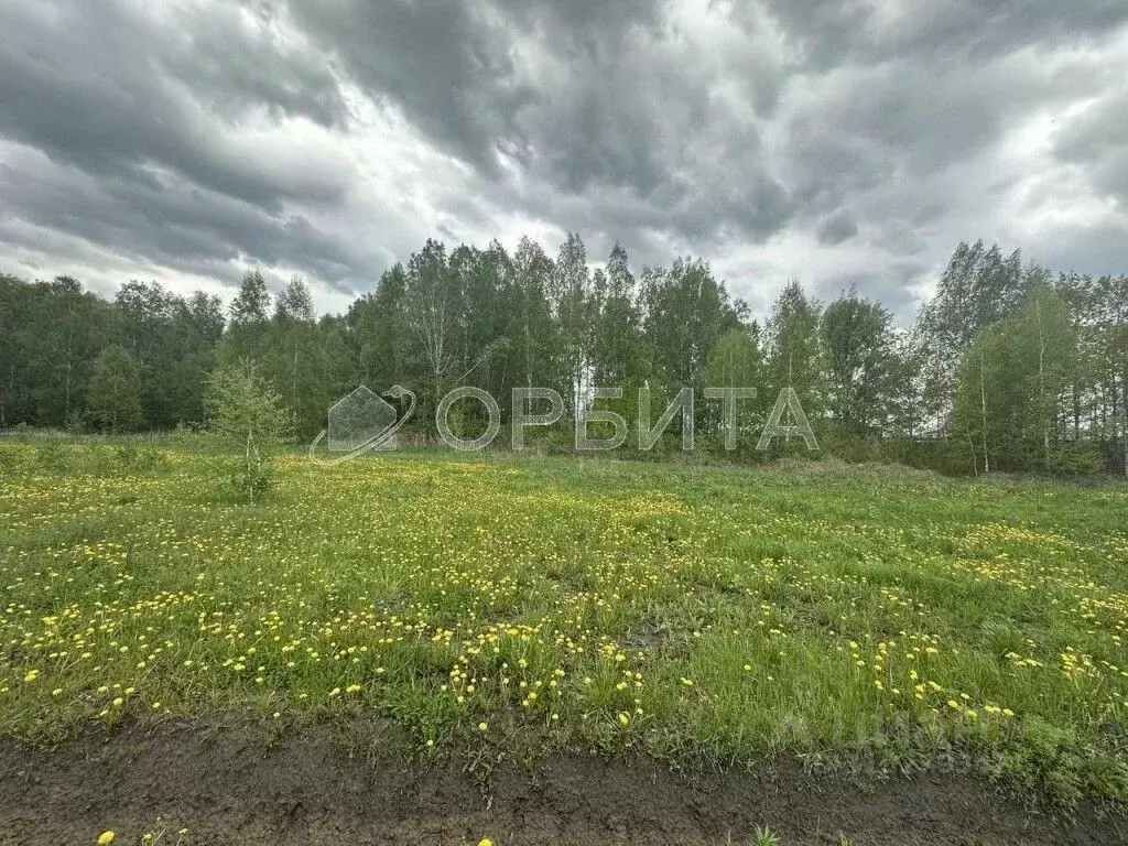 Участок в Тюменская область, Тюменский район Салаирский тракт, 14-й км ... - Фото 0