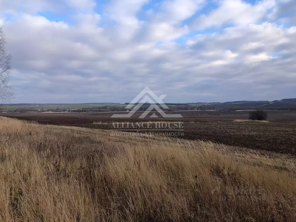 Участок в Татарстан, Лаишевский район, с. Кирби ул. Татарстан (453.0 ... - Фото 1